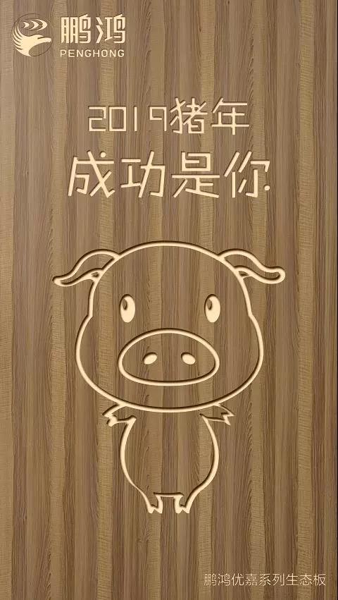 1-1Z124095200336 J9集团优嘉系列生态板