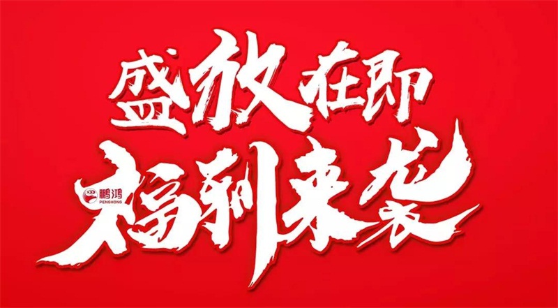 1-1Z50G01510431 J9集团定造家居