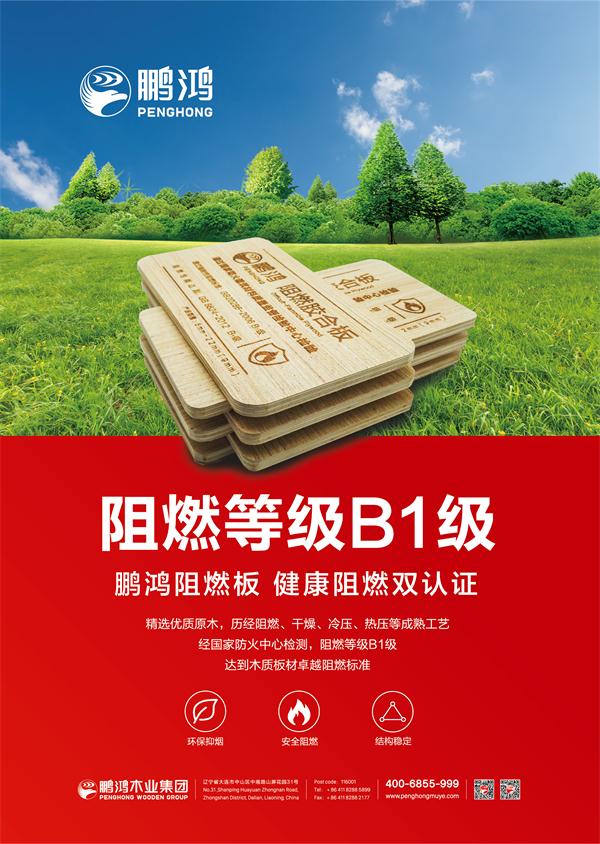 1593998478538728 B1级阻燃板