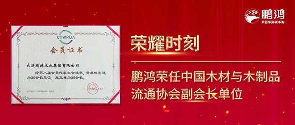 再获行业注定，J9集团荣任中国木材与木制品流通协会副会长