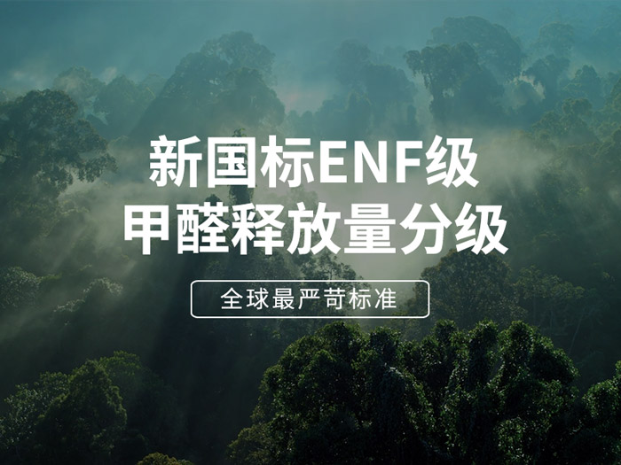 1635385956286994 板材环保最高尺度enf级